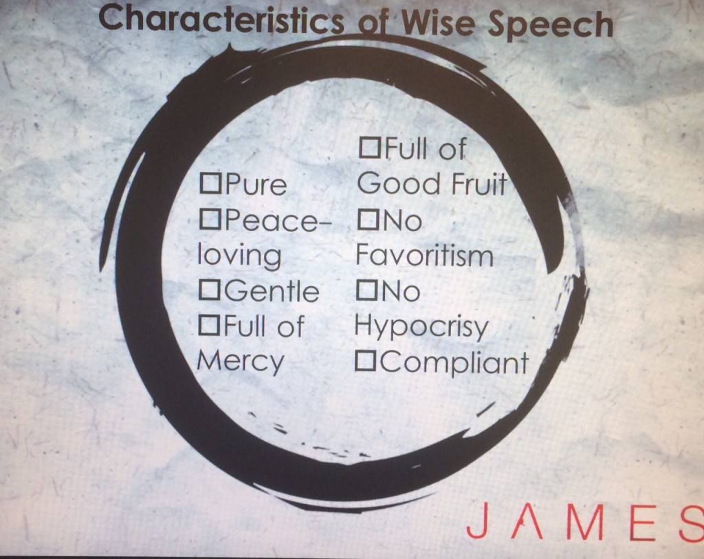 james 3 wise speech